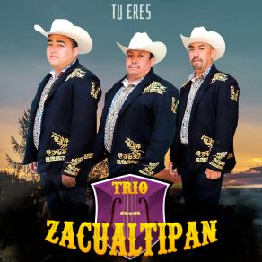 Download track La Petenera Trio Zacualtipan