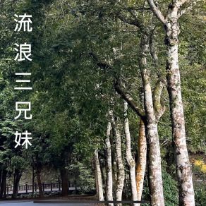 Download track 滿面春風 白文文