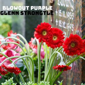 Download track Blowout Purple Glenn Strongtle