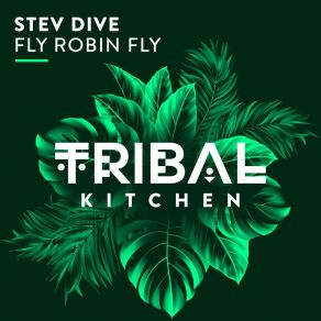 Download track Fly Robin Fly (Radio Edit) Stev Dive