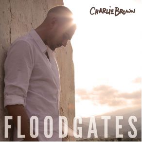 Download track Floodgates, Part 2 Charlie Brown, Misha B