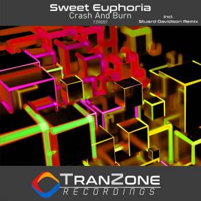 Download track Crash And Burn (Radio Edit) Sweet Euphoria