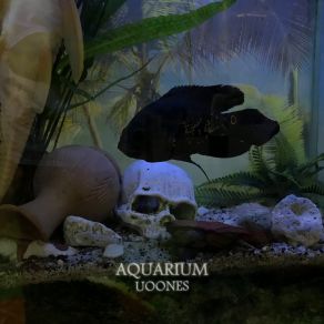 Download track Aquarium UOONES