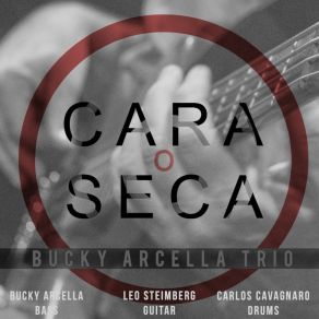 Download track Saltando El Cerco Bucky Arcella Trío