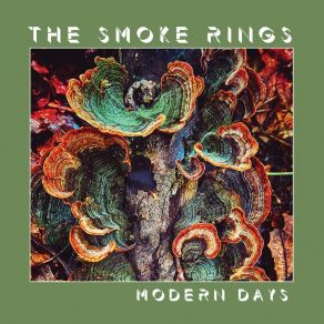 Download track Everything You Said The Smoke Rings