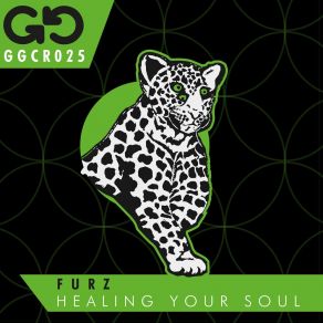 Download track Healing Your Soul Furz