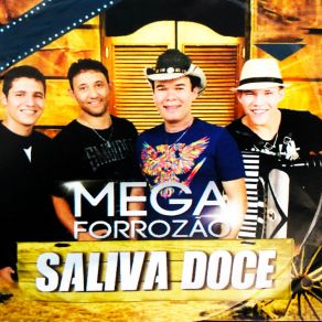 Download track Fala Pro Papai Mega Forrozão Saliva Doce