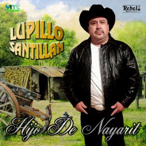 Download track Paso A La Reina Lupillo Santillán