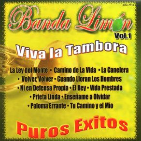Download track Volver, Volver Banda Limon