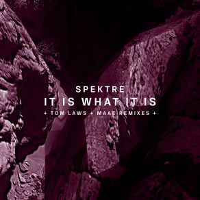 Download track It Is What It Is (Original Mix) Spektre