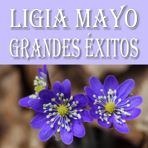 Download track No Te Enojes Conmigo Ligia Mayo