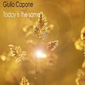 Download track Today Is The Same Giulio Capone