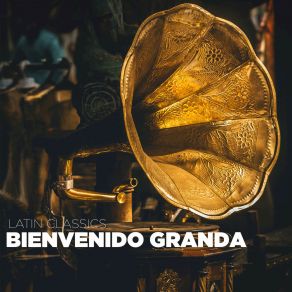 Download track Lo Voy A Gritar Bienvenido Granda