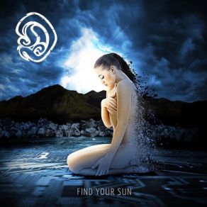 Download track Find Your Sun The D Project