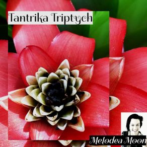 Download track Minimalist Tantrika (Untitled 03) (Extended) Melodea Moon