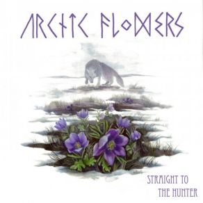 Download track The Fool Arctic Flowers