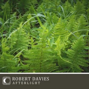 Download track Lone Hours Robert Davies