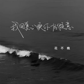 Download track 我用真心换你一片假意 (伴奏) 花不晚