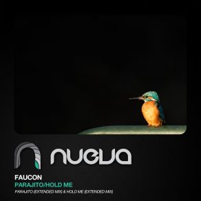 Download track Hold Me (Radio Edit) Faucon