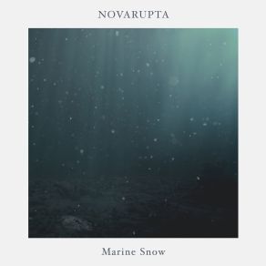 Download track Every Shade Of Water Novarupta