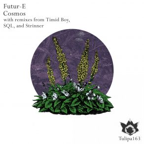 Download track Cosmos (Timid Boy Remix) Future