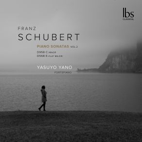 Download track Piano Sonata In E-Flat Major, Op. 122, D. 568: III. Menuetto. Allegretto Yasuyo Yano