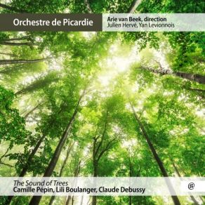 Download track The Sound Of Trees: Paisible, Boisé Yan Levionnois, Orchestre De Picardie, Arie Van Beek, Julien Hervé