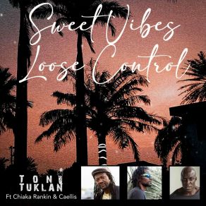 Download track Sweet Vibes (Loose Control) (Radio Mix) Caellis