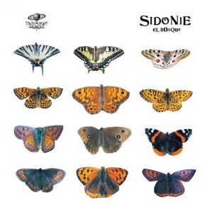 Download track El Bosque Sidonie