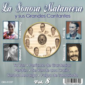 Download track Son De Matanzas La Sonora MatanceraJorge Maldonado