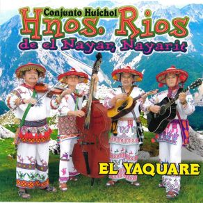 Download track Mi Margarita Conjunto Huichol Hermanos Rios