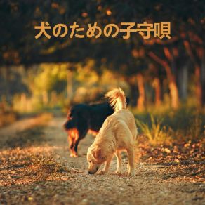 Download track 気になる犬の音楽療法 RW 眠っている子犬