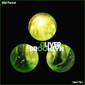 Download track Old Forest (Radiomix) Oliver BrooklynOshmusik