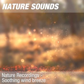 Download track Nature Sounds For Relax, Tai Chi & Acupressure Massage (Pleasing Wind) 03 Nature Sounds