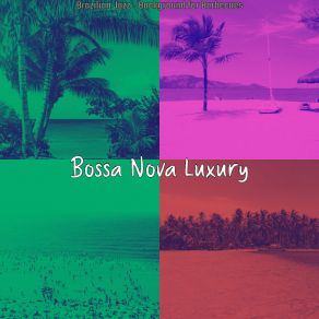 Download track Background For Cookouts Bossa Nova Luxury