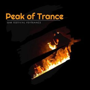 Download track Lord Of Terror (EDM Festival Psytrance) (Original Mix) Graf X