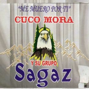 Download track Dolor De Amor Su Grupo Sagaz