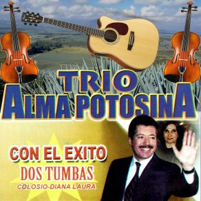 Download track Caballos Patas Blancas Trio Alma Potosina