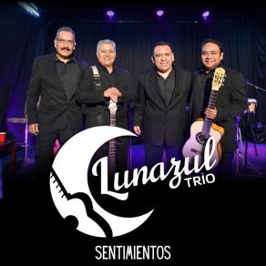 Download track Al Otro Lado Del Sol Trio Lunazul