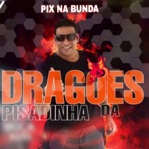 Download track Pedaço De Pecado Dragões Da Pisadinha