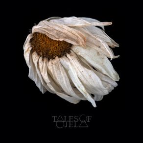 Download track Lapse Of Collapse Ii' Tales Of Ojela