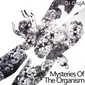 Download track Mysteries Of The Organism DJ GrujA