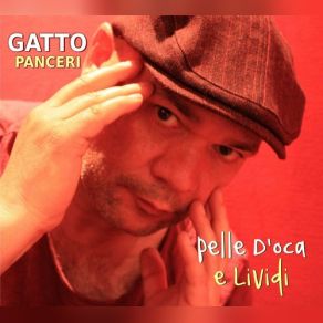 Download track Ero Polvere Gatto Panceri