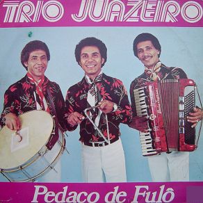 Download track Pedaço De Fulô Trio Juazeiro