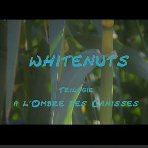 Download track Moderne Reverie Whitenuts