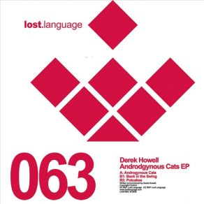 Download track Potcakes (Original Mix) Derek Howell