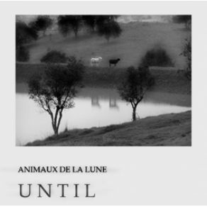 Download track Chuva De Estrelas Animaux De La Lune