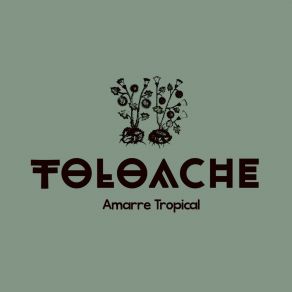 Download track Palo Mayombe Toloache