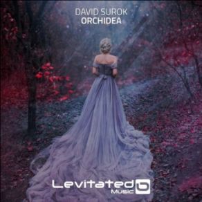 Download track Orchidea (Extended Mix) David Surok