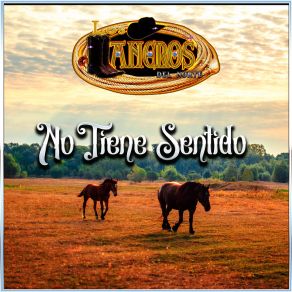 Download track Esperanza Perdida LOS LLANEROS DEL NORTE